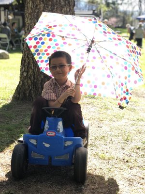 The Shoseian Whispering Pine Japanese Tea House by null