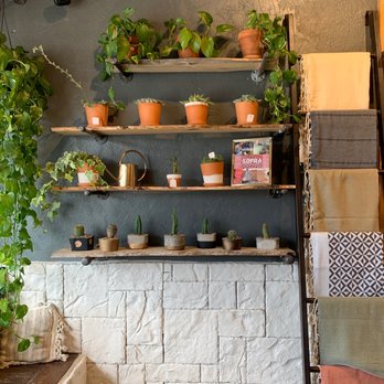 Terra Apothecary - potted plants on shelves - Herbs & Spices Near Me - Denver, Colorado