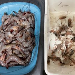 Fisherman's Cove Seafood