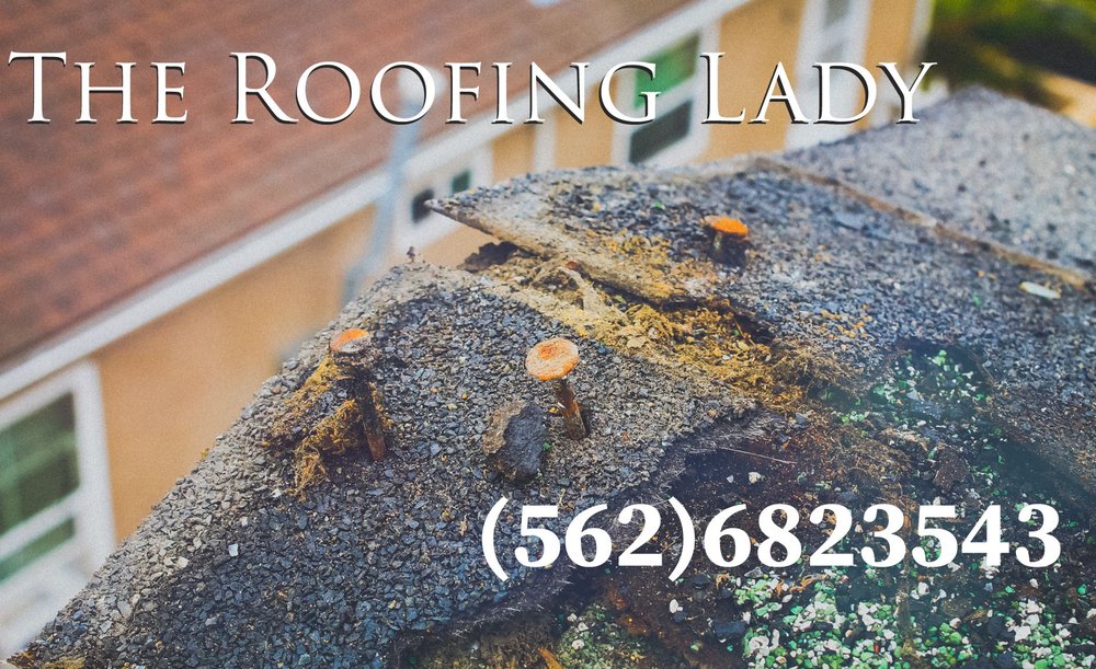 Slide of The Roofing Lady