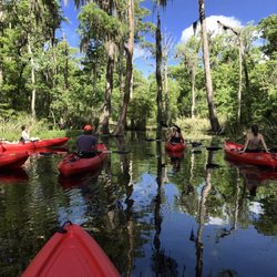 Hidden Adventure Swamp & Plantation Tours