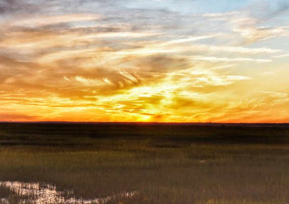 Hunting Island by null