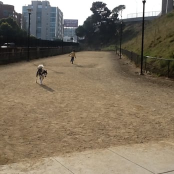 Rincon Hill Dog Park - Big dog side. Left view. - Dog Parks Near Me - San Francisco, California