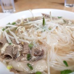 Issaquah Pho - Large everything pho