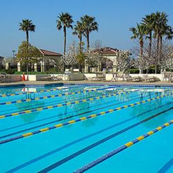 Cornerstone Property Management & Real Estate Services - Lap pool - Natomas Park