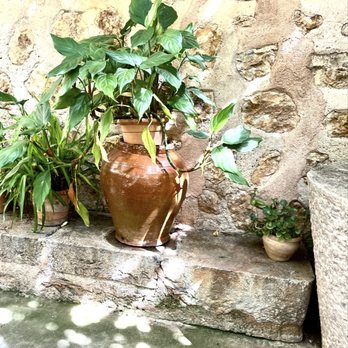 La Tafona de Can Det - Propped Up - Olive Oil Near Me - Sóller, PM