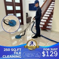 AAA Miami Steam Cleaner