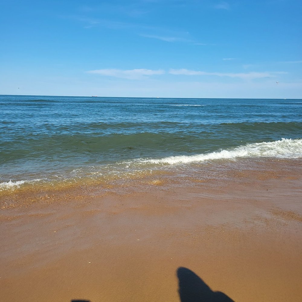 Wyndham Virginia Beach Oceanfront - Hotels Near Me - Virginia Beach, Virginia Wyndham Virginia Beach Oceanfront - Hotels Near Me - Virginia Beach, Virginia