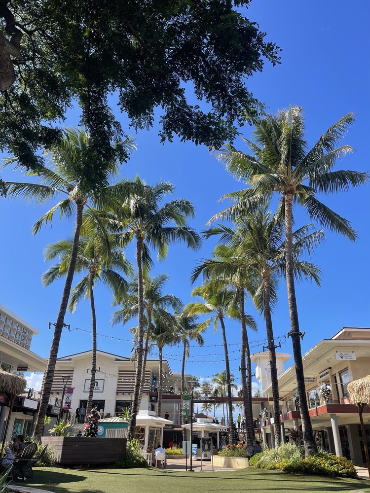 TravisMathew gift card