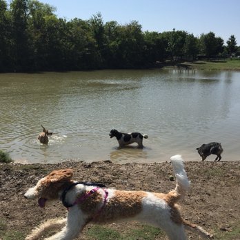 Northbark Dog Park - Dog Parks Near Me - Dallas, Texas Northbark Dog Park - Dog Parks Near Me - Dallas, Texas