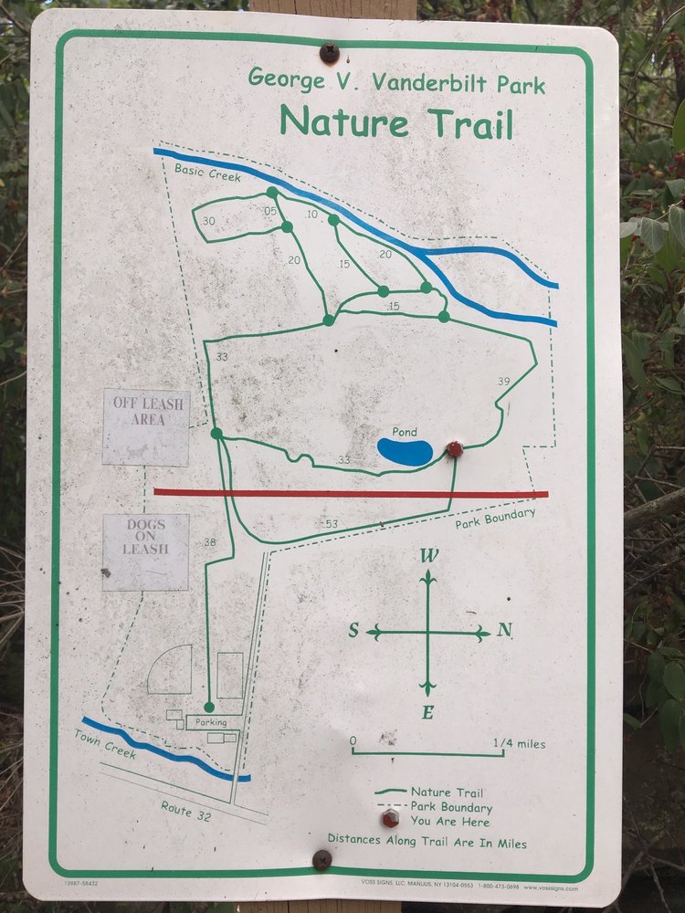George V Vanderbilt Park - Greenville Town Park Logo