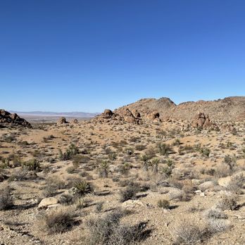 Indian Cove Campground - Campgrounds Near Me - Twentynine Palms, California