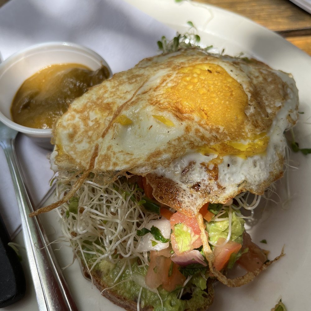 Cenote - Avocado toast and egg - Coffee & Tea Near Me - Austin, Texas