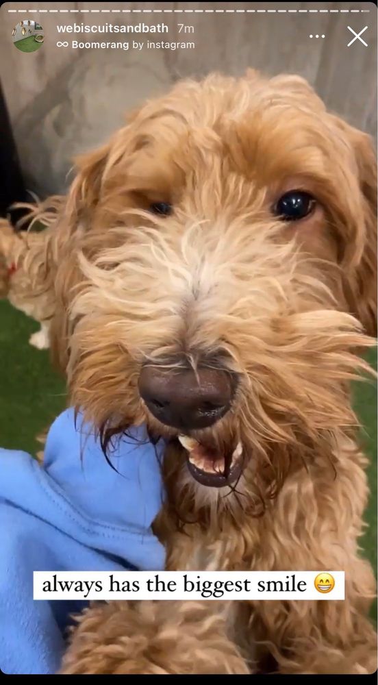 BISCUITS & BATH WEST END AVE Updated September 2024 10 Reviews