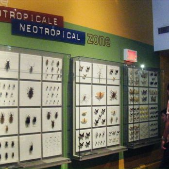 Insectarium de Montréal - Museums Near Me - Montreal, Quebec Insectarium de Montréal - Museums Near Me - Montreal, Quebec