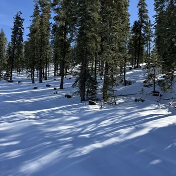 Dodge Ridge - Ski Resorts Near Me - Pinecrest, California