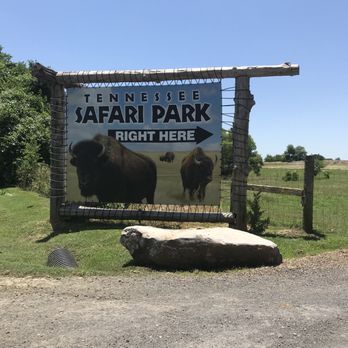TENNESSEE SAFARI PARK - Updated October 2025 - 709 Photos & 130 Reviews