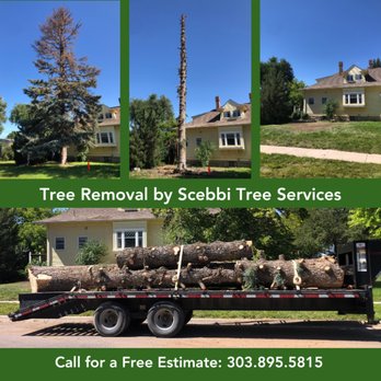 Scebbi Tree Services - Tree Services Near Me - Nunn, Colorado