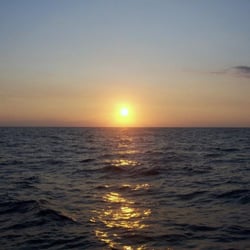 Vacation Brat - Hawaiian Sunset