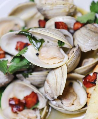 Libertine North End by null