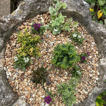 Kinghams Restaurant - Garden planter - British Near Me - Guildford, SRY