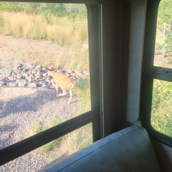 Jellystone Park - RV Parks Near Me - Larkspur, Colorado Jellystone Park - RV Parks Near Me - Larkspur, Colorado
