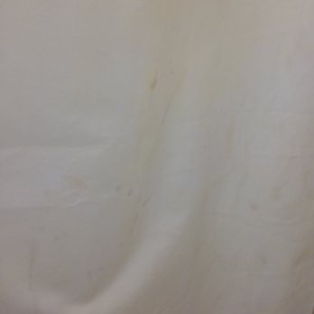 Quality Inn National Fairgrounds Area - Dirty shower curtain. - Hotels Near Me - Perry, Georgia Quality Inn National Fairgrounds Area - Dirty shower curtain. - Hotels Near Me - Perry, Georgia
