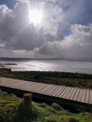 Godrevy Lighthouse by null