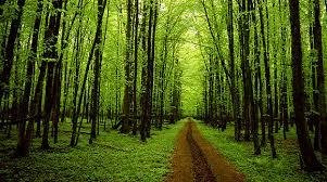 Piles and Peels - social services organization in Corpus Christi, TX