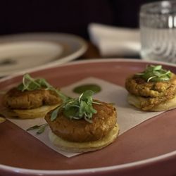 Pippal - Arabi ke Kabab