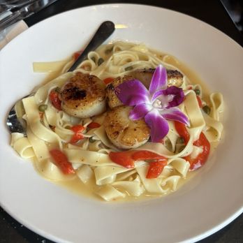 Sunday Gravy - Scallops on linguine - Italian Near Me - Linwood, New Jersey Sunday Gravy - Scallops on linguine - Italian Near Me - Linwood, New Jersey