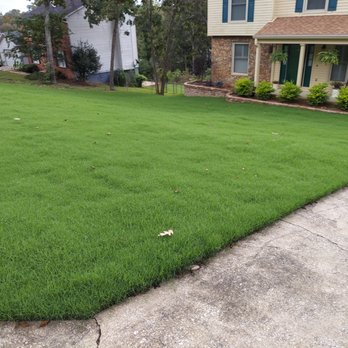 Arise Landscape - Long term results of our sod work - Landscaping Near Me - Jacksonville, Alabama