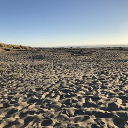 Clam Beach County Park - Clam Beach