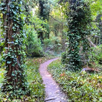 Oak Cliff Nature Preserve - Beautiful trail path! - Parks Near Me - Dallas, Texas