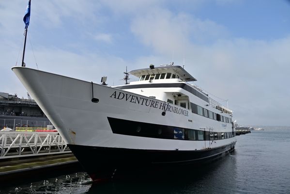 City Cruises by null