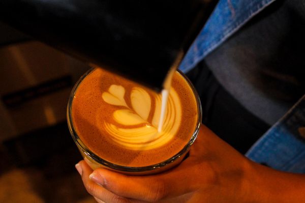 Sip & Sonder by null