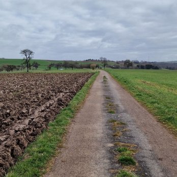 Schmugglerpfad - Wanderweg - Hiking Near Me - Kröppen, RP