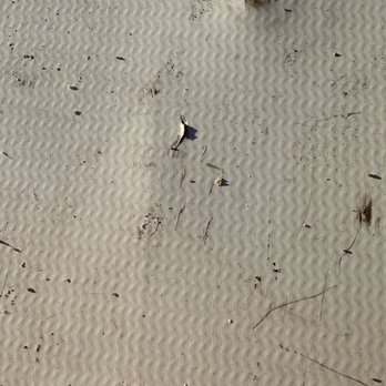 A 100% Guarantee Heating & AC - Close up of one of the many tears in the brand new roof. - Heating & Air Conditioning/HVAC Near Me - Vacaville, California A 100% Guarantee Heating & AC - Close up of one of the many tears in the brand new roof. - Heating & Air Conditioning/HVAC Near Me - Vacaville, California