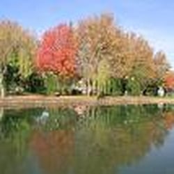 Parque Marinha do Brasil