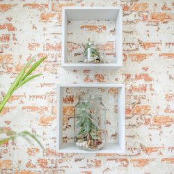 Nail & beauty Studio buderim