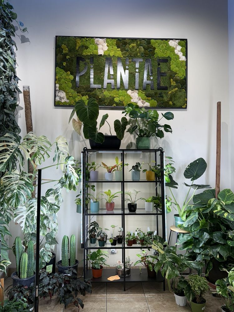 Plantae Flagstaff