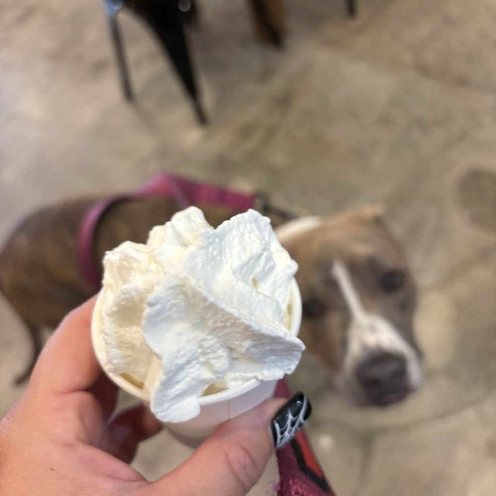 Grammy 2023: Lista de todos los ganadores en categorías latinas y más - Los  Angeles Times, image size:1000x1000