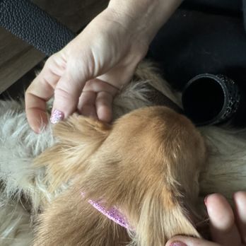 Petco - Pet Training Near Me - Park City, Utah