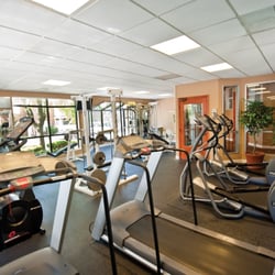 Bristol Club Apartments - A State of the Art Fitness Center and Free Exercise Classes in the summer are just a few of the amenities available to you!