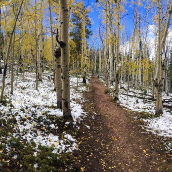Kenosha Pass - Trail at Kenosha Pass on October 3, 2017. Snow on the ground, but many golden leaves still on the trees. - Parks Near Me - Park, Colorado Kenosha Pass - Trail at Kenosha Pass on October 3, 2017. Snow on the ground, but many golden leaves still on the trees. - Parks Near Me - Park, Colorado