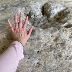 Somervell County Museum - Dino track