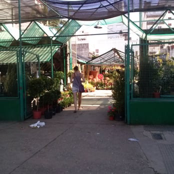 Higa - Nurseries & Gardening Near Me - Rosario, S