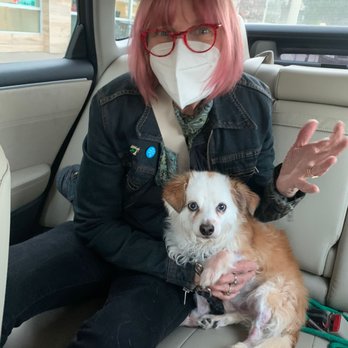 TrueCare for pets - 5 days later Ravi is coming home! - Veterinarians Near Me - Studio City, California TrueCare for pets - 5 days later Ravi is coming home! - Veterinarians Near Me - Studio City, California