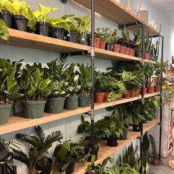 PlantShed