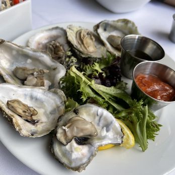 Garibaldi's Cafe - Steamed oysters - Italian Near Me - Savannah, Georgia Garibaldi's Cafe - Steamed oysters - Italian Near Me - Savannah, Georgia